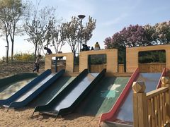 -大兴滨河森林公园