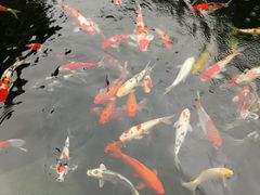 -顺德了能馆(虎门店)