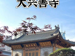 -西安大兴善寺