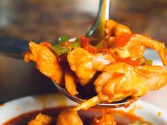 -孙婆婆美蛙兔火锅(踏水桥店)