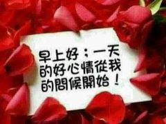 伍哥厨房(新滘东店)-伍哥厨房(新滘东路店)