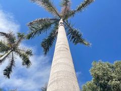 -厦门高崎国际机场-T3航站楼