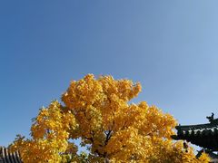 -纯阳宫(大同古城)