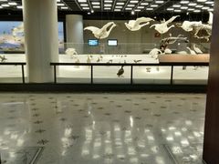-1868 Café(上海自然博物馆店)