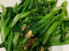 四季菜心-星湖愉景酒家