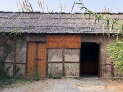 -泗洪洪泽湖湿地景区