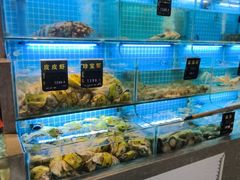 -鸽子侯·家宴·平价海鲜(市图书馆店)