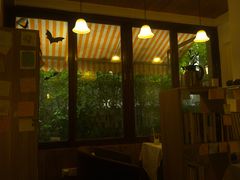 -隅cafe(傅厚岗店)