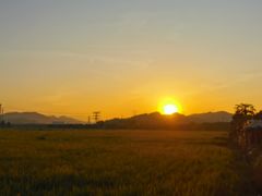 -崖口云吞(中堡店)