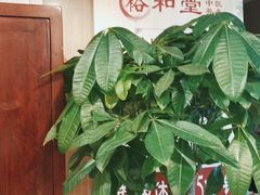 -裕和堂中医推拿艾灸(太古汇臻品店)