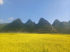 -万峰林风景区