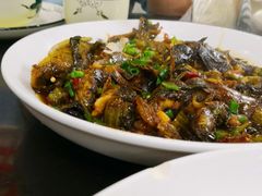 -东康桂家农庄