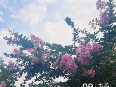 -滨河世纪广场公园