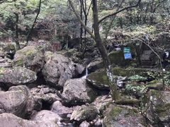 -白云源风景区