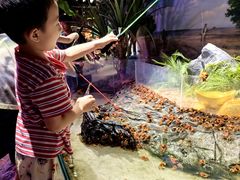 -正佳雨林生态植物园