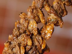 -十里铺铁板鱿鱼