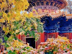 -故宫博物院(故宫)