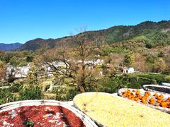 -塔川景区