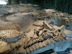 -自贡恐龙博物馆