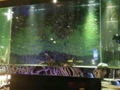 景观位-泰谷酒店·太古码头闽菜自助餐厅