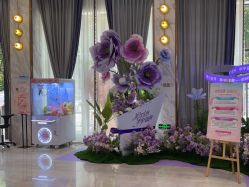 -深圳美莱医疗美容医院