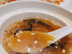 -顺德美的万豪酒店-万豪中餐厅