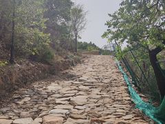 -定都峰