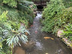 -中国茶叶博物馆(双峰馆区)