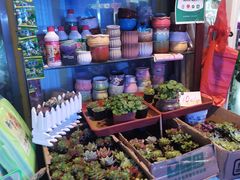 -宝鸡东道花鸟鱼虫市场(吉利花园商场店)