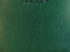 -直隶安家牛肉罩饼(建华店)