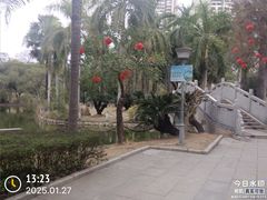 -金花茶公园