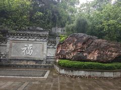 -铁山坪森林公园