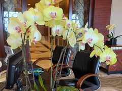 -成都天府丽都喜来登饭店