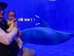 -华夏文旅海洋公园