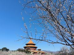 -普乐寺