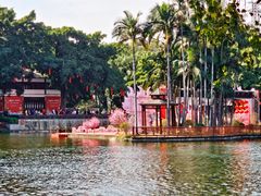 -荔湾湖公园