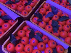 -双福水果批发市场