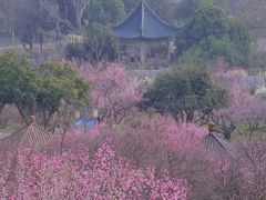 -无锡梅园公园