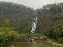 -水濂山森林公园