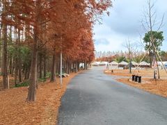 -上海长兴岛郊野公园