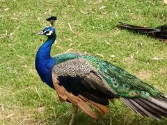 -昆明动物园