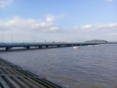 -上海吴淞炮台湾国家湿地公园