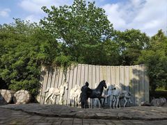 -白马涧龙池景区