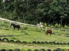 -仙海旅游度假区