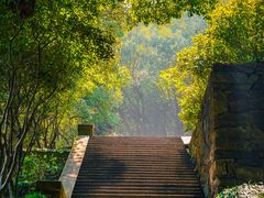 -宁波市保国寺古建筑博物馆