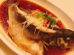 -文杏酒楼(一品天下店)