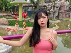 -灵玲国际马戏城