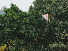 -东莞植物园