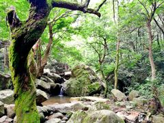 -浙北大峡谷