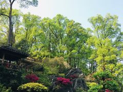 -南山植物园